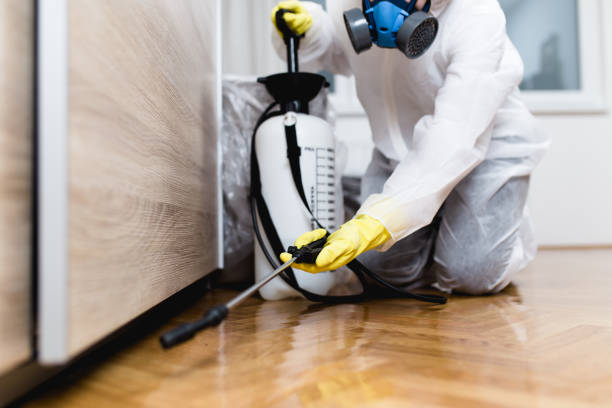 Best Best Pest Control Companies  in Lovejoy, GA