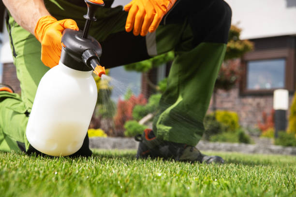 Wasp Removal Services in Lovejoy, GA