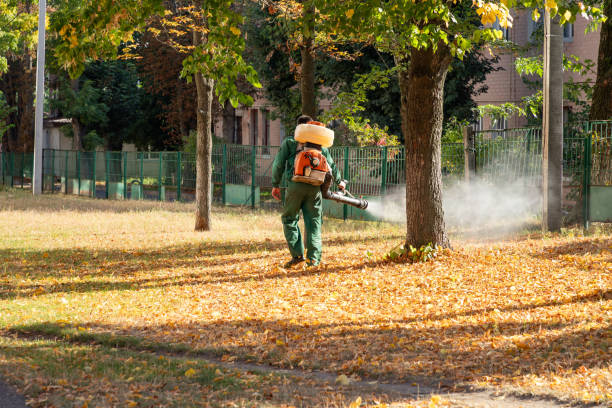 Best Best Pest Control Companies  in Lovejoy, GA
