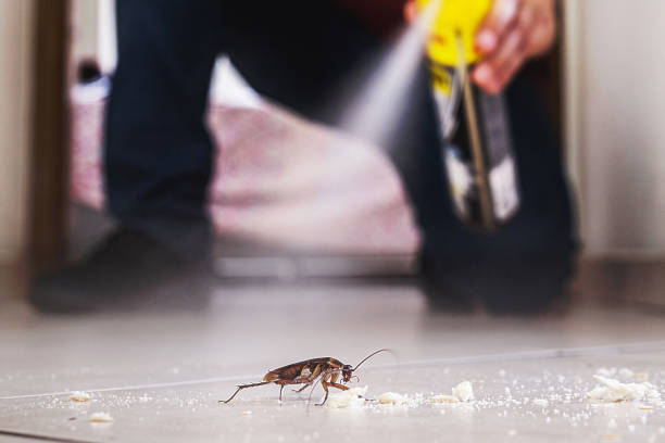 Best Termite Control Services  in Lovejoy, GA