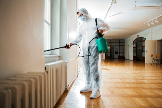 Best Wasp Removal Services  in Lovejoy, GA
