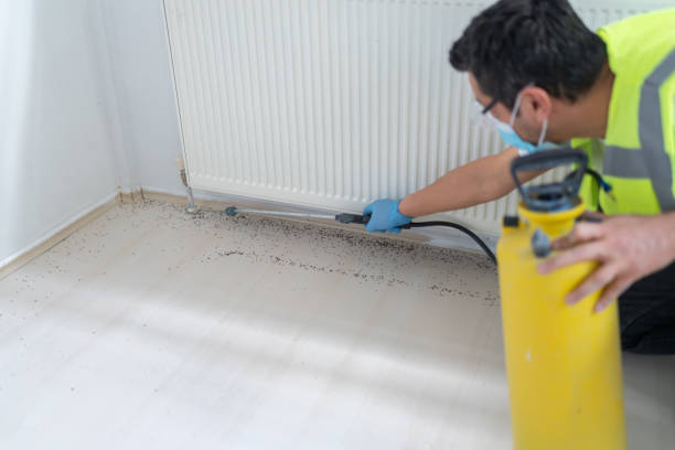 Best Ant Control Services  in Lovejoy, GA
